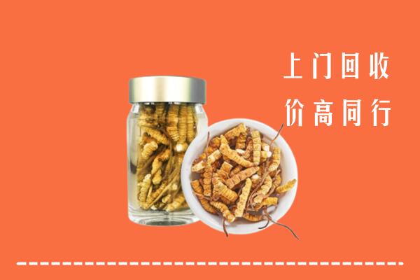收购行情：岐山县回收冬虫夏草